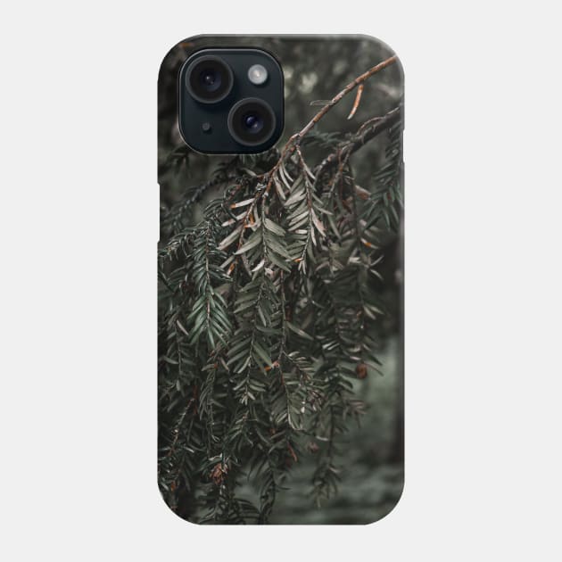 Yew. Phone Case by shesjustcurious