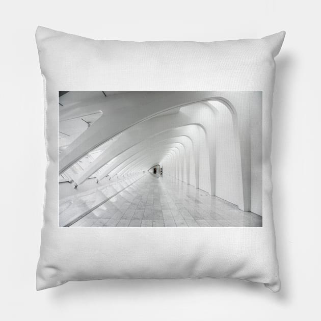 Minimalistic design Pillow by GenesisClothing