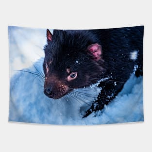 Tasmanian Devil Tapestry