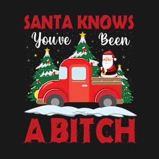 Santa Knows You've Been A Bitch Funny Christmas T-shirt T-Shirt