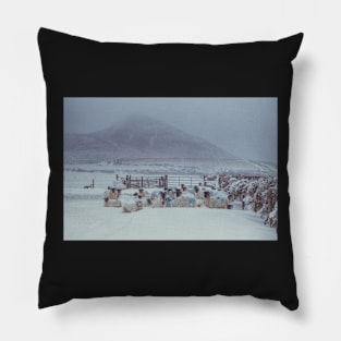 Sugar Loaf Sheep Pillow