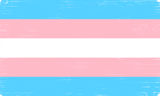 Transgender Pride Flag Magnet