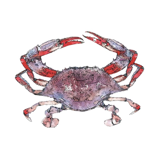 Crabby by jennygormanart