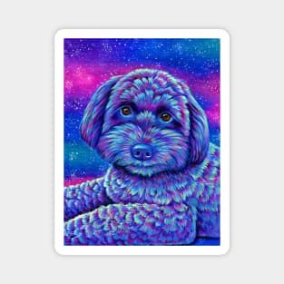 Starry Schnoodle Dog Magnet