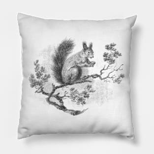 Squirrel Vintage illustration Pillow