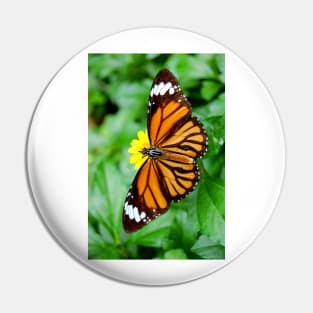 Orange Butterfly Pin