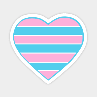 Pride Flag Heart Transexual Magnet