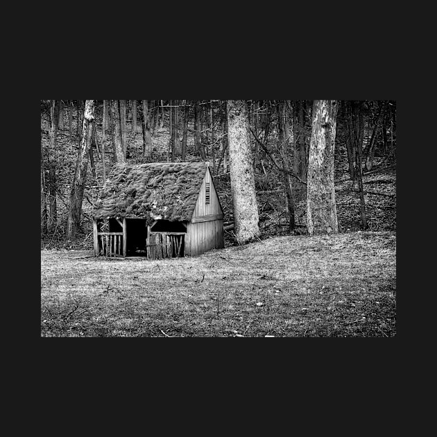 Broken-down Shack In Black And White by JimDeFazioPhotography