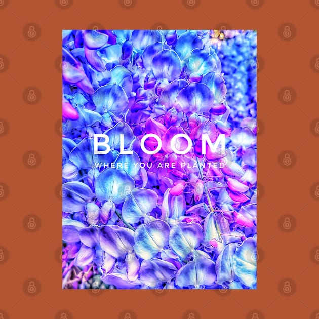 Bloom where you are planted by kourai