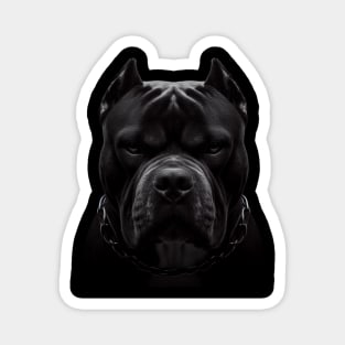 Pitbull Magnet
