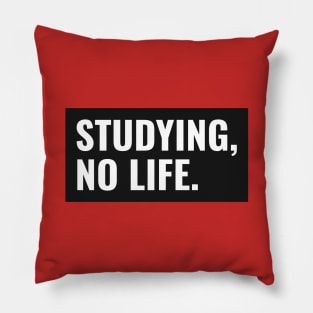 Studying, No Life - Medical Student in Medschool Pillow