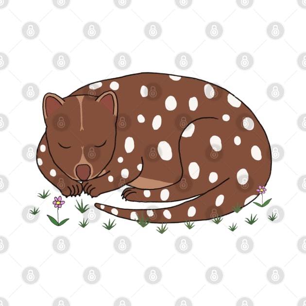 Spotted Quoll by wanungara