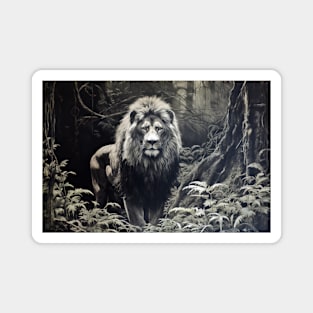 Lion Animal Predator Wild Nature Ink Sketch Style Magnet