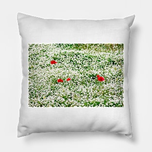 Poppies in a Meadow Pillow