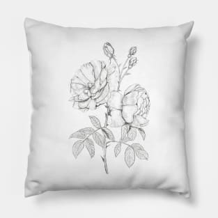 rose sketching Pillow