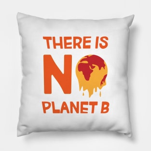 NO PLANET B Pillow