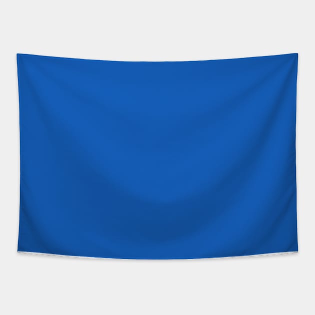 PLAIN COLOR DENIM BLUE - colorsandpatterns Tapestry by colorsandpatterns