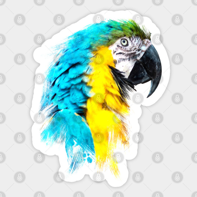 Watercolour Blue Yellow Macaw Ara Parrot Artsy Artistic Painting