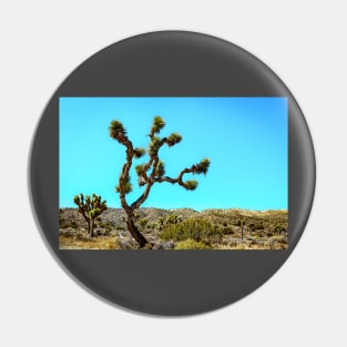 Joshua Tree National Park, California Pin