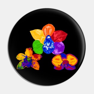 Various rainbow orchids Pin