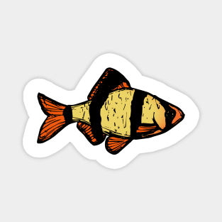 Tiger Barb - freshwater aquarium fish Magnet