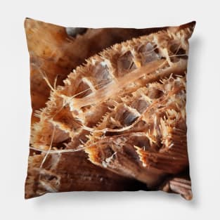 Brown cut banana stump with fibers Pillow