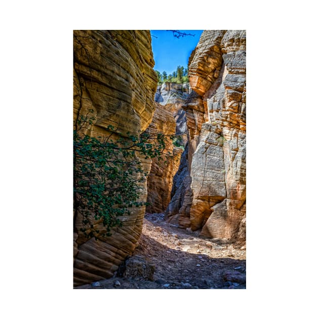 Lick Wash Trail Hike by Gestalt Imagery