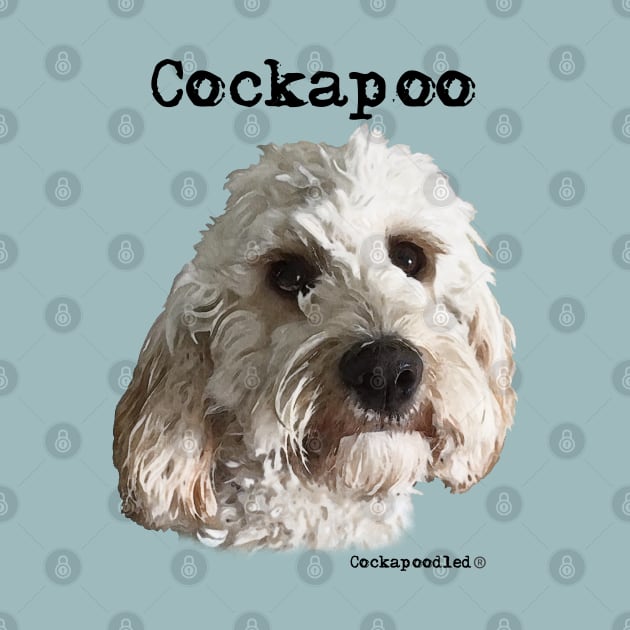 Champagne Blonde Cockapoo / Spoodle and Doodle Dog by WoofnDoodle 