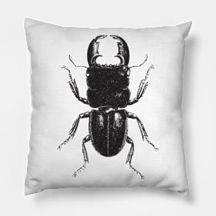 Beetle Pillow