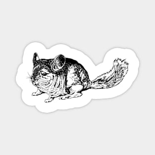 Line drawing - chinchilla Magnet