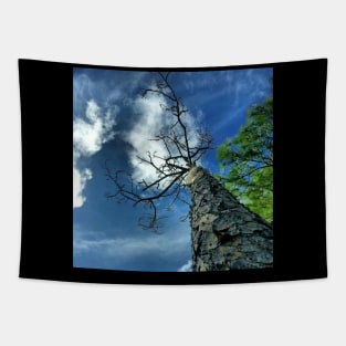 Sky Trap Tapestry