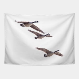 Canada geese in flight Tapestry