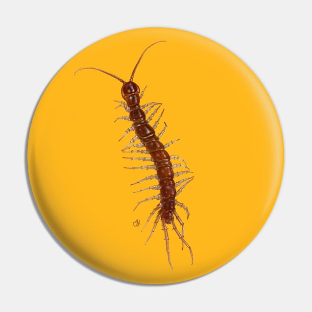 Friendly Centipede Wants to Cuddle! Pin by John Himmelman