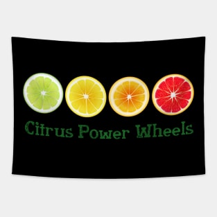 Lime Lemon Orange Vitamin Citrus Wheels of a Power of Juice Health Food choices and living Greenway for your own strong Health benefits and vitality life Tapestry