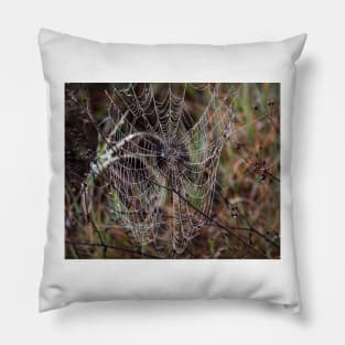 Spider Web with Water Doplets on a Foggy Morning Pillow