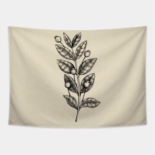 Plant Stem With Seed Pods Tapestry