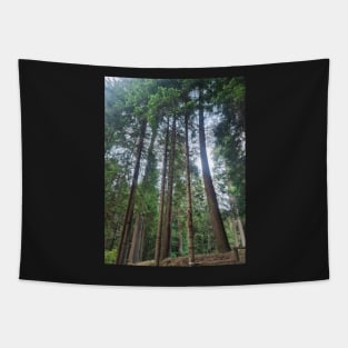 Pine Tree Forest Tapestry