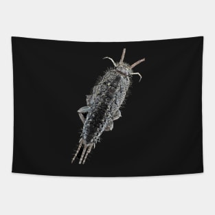 Zygentoma silverfish Tapestry