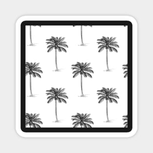 Coconut Palm Trees Line Drawing Pattern Magnet