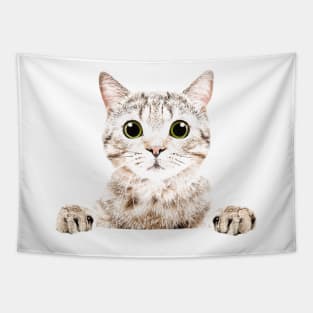 Shy Kitten Tapestry