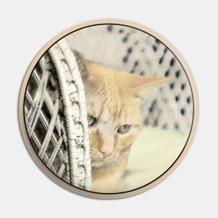 Yellow Tabby Cat Pin