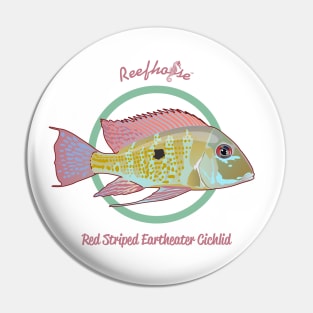 Red Striped Eartheater Cichlid Pin