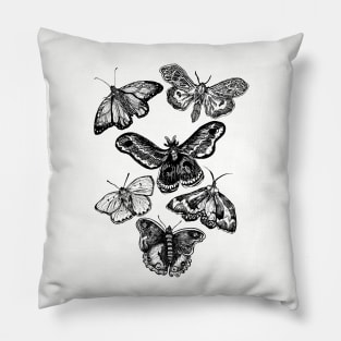 The Moths & Butterflies Pillow