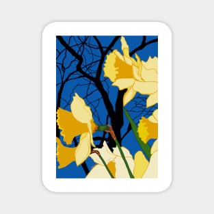 Spring daffs Magnet