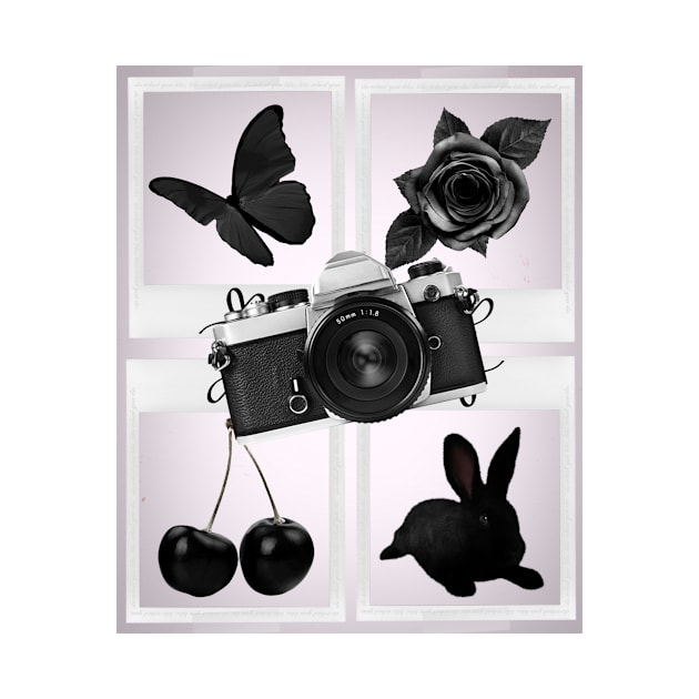 Animals, flowers, fruits and black objects by Zido ICT