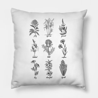 Plants design Pillow