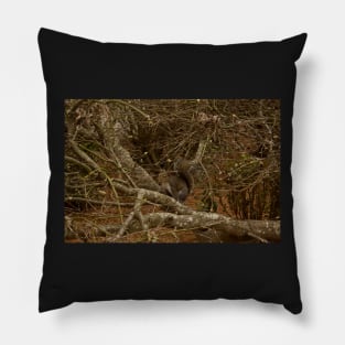 Squirrell in Bushes Pillow