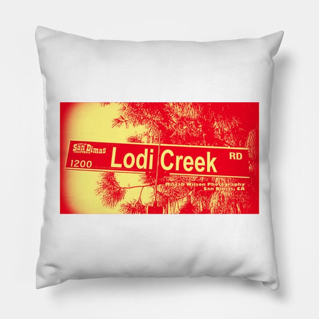 Lodi Creek Road, San Dimas, California by Mistah Wilson Pillow by MistahWilson