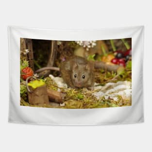 George the mouse in a log pile house Tapestry