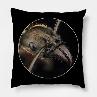 Texas bullet ant. Pillow